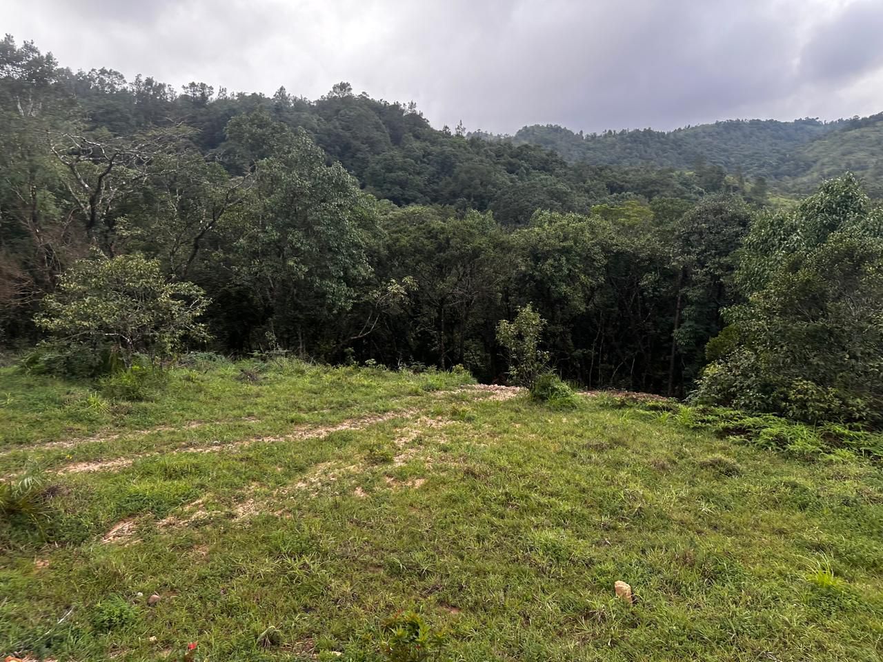 5 Acre Land for Sale – Devaramane, Mudigere (Chikkamagaluru District)